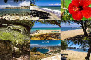 klicke hier, um die Datei herunterzuladen Rhodos 3