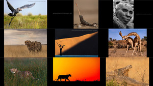 Africa Geographic Fotograf des Jahres 2018 - (2) -