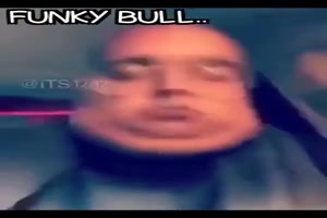 Funky Bull ....