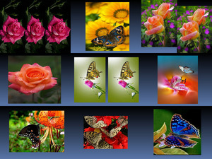 klicke hier, um die Datei herunterzuladen Flowers - Butterflies 3
