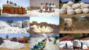 klicke hier, um die Datei herunterzuladen Afrika Baumwolle-Verarbeitung