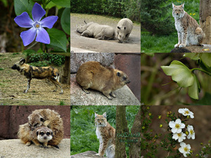 GaiaZoo - Kerkrade NL - ein Zoo in Kerkrade - Niederlande