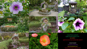 Gardens and Flowers - Grten und Blumen