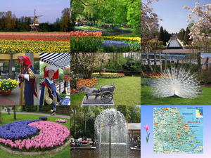 Keukenhof