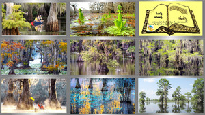 Caddo Lake