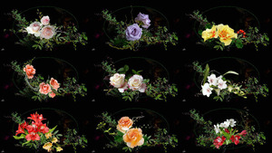 klicke hier, um die Datei herunterzuladen Elena - (Blumen)