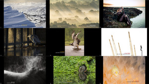klicke hier, um die Datei herunterzuladen The Winners of British Photography Awards 2017 -