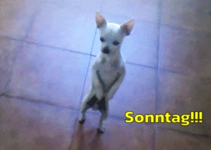 Sonntag
