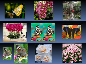 klicke hier, um die Datei herunterzuladen Flowers - Butterflies 5
