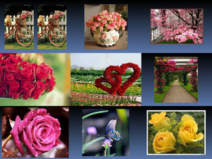 klicke hier, um die Datei herunterzuladen Flower Story 2
