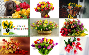 Tulip Bouquets 2 - Tulpenstrue 2