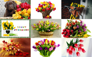 klicke hier, um die Datei herunterzuladen Tulip Bouquets 2 - Tulpensträuße 2