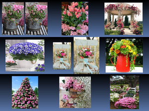 klicke hier, um die Datei herunterzuladen Beautiful Flower 7