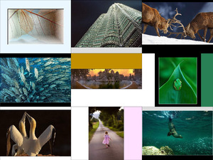 klicke hier, um die Datei herunterzuladen Photgraphies fantastiques - Fantastische Fotos
