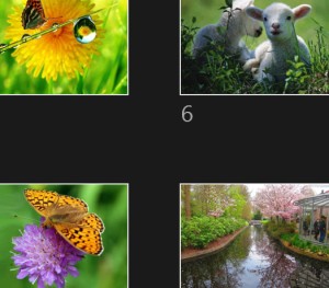 klicke hier, um die Datei herunterzuladen Le Printemps Arrive - Der Frühling kommt an