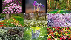klicke hier, um die Datei herunterzuladen Frühling 27