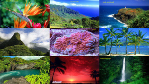 Hawaii-wunderschn