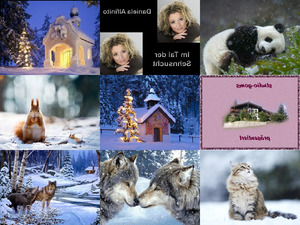 Bilder-Galerie vom vom 31032018 2 Tiere im Winter