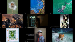 klicke hier, um die Datei herunterzuladen 2018 Sony World Photography Awards-Shortlisted & Commended-