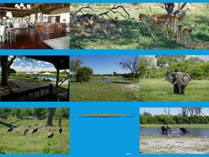 Impressionen aus dem Okavangodelta 1