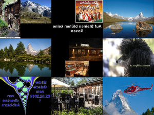 Bilder-Galerie - Zermatt