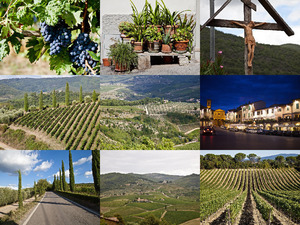 klicke hier, um die Datei herunterzuladen Toscana - Region Chianti