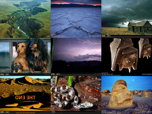 klicke hier, um die Datei herunterzuladen The best of nationalgeographic part1