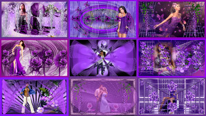 klicke hier, um die Datei herunterzuladen Midnight Lady - Chris Norman