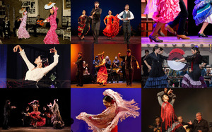 klicke hier, um die Datei herunterzuladen Flamenco
