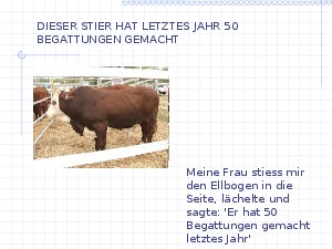 klicke hier, um die Datei herunterzuladen Zuchtstiere