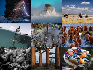 klicke hier, um die Datei herunterzuladen National Geographic preisgekrönte Fotos