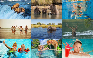 klicke hier, um die Datei herunterzuladen Love of Water - Liebe zum Wasser