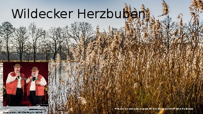 Jukebox - Wildecker Herzbuben 001