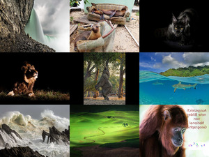 klicke hier, um die Datei herunterzuladen National Geographic
