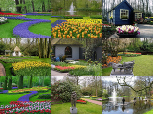 klicke hier, um die Datei herunterzuladen Frühling in Holland