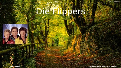 Jukebox - Die Flippers 002
