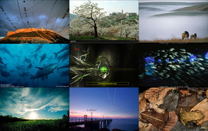 klicke hier, um die Datei herunterzuladen National Geographic Fotos