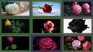klicke hier, um die Datei herunterzuladen Rosen