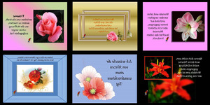 Lebensweisheiten 43