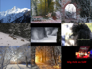 klicke hier, um die Datei herunterzuladen Bilder-Galerie vom 19052018 8 schoene Winterbilder