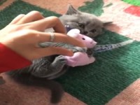 Finger weg von meinem Stoffi