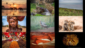 klicke hier, um die Datei herunterzuladen Africa Geographic Photographer of the Year 2018 (5) -