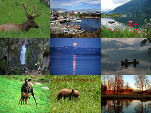 klicke hier, um die Datei herunterzuladen Canadas Beauty1