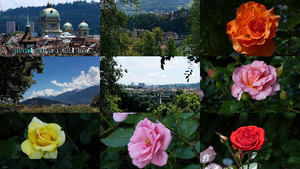 klicke hier, um die Datei herunterzuladen Stadt Bern und seine Rosen