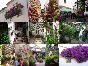 Cordoba, Stadt der Blumen