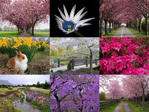 klicke hier, um die Datei herunterzuladen Schöne Naturfotos1