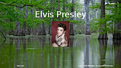 Jukebox - Elvis Presley - Le Roi du Rock n Roll 003