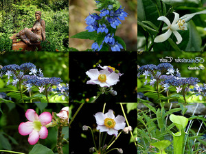 Botanische Tuin (Kerkrade) - Botanischer Garten (Kerkrade)