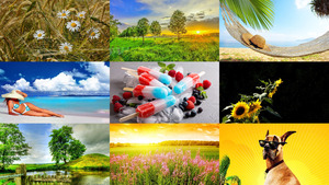 klicke hier, um die Datei herunterzuladen Sommer 21
