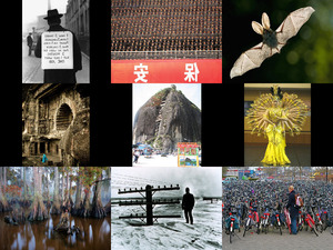klicke hier, um die Datei herunterzuladen PHOTOS